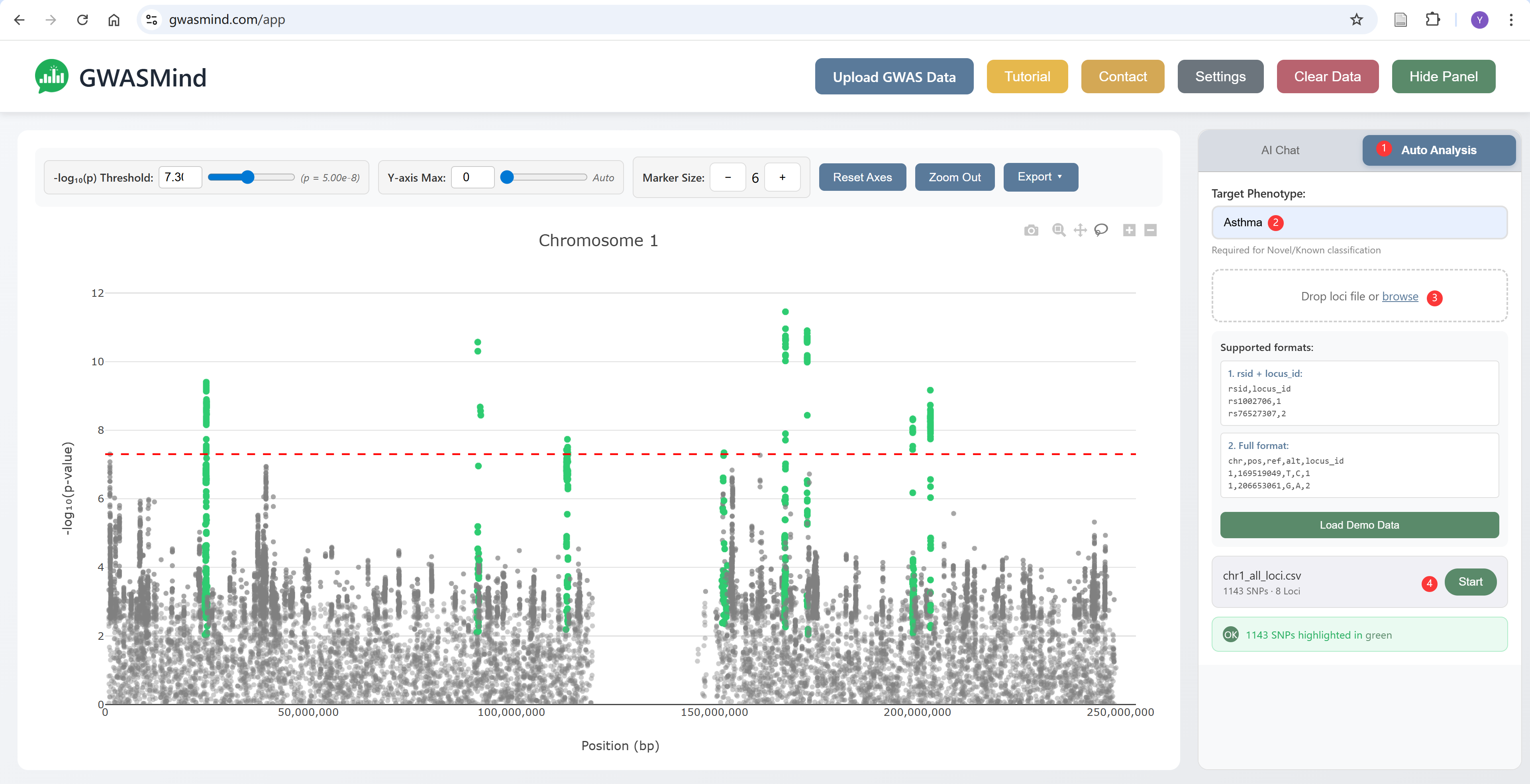 Auto Analysis tab showing upload area and file format guidance