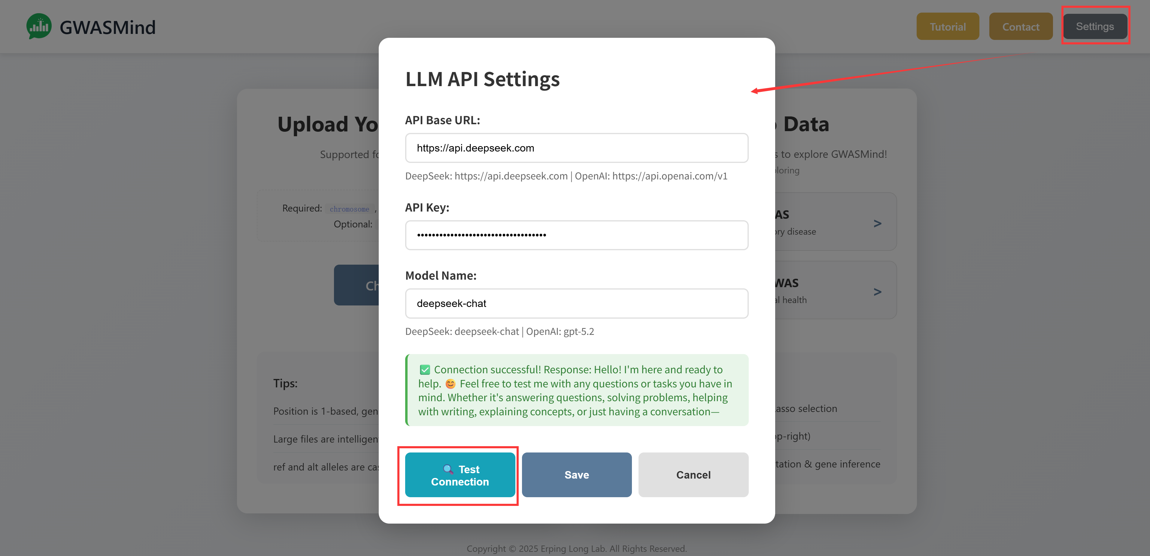 Settings modal with API configuration